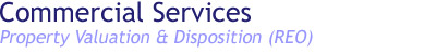 Property Valuation and Disposition (REO)